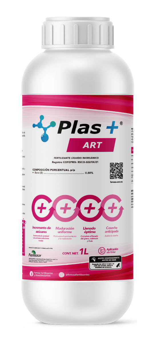 Plas+ Art