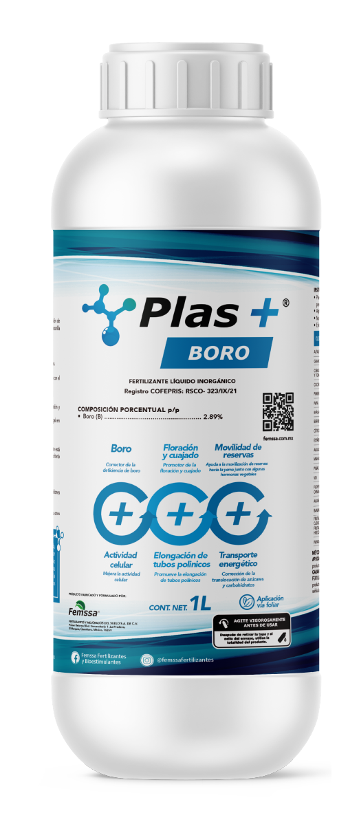 Plas+ Boro